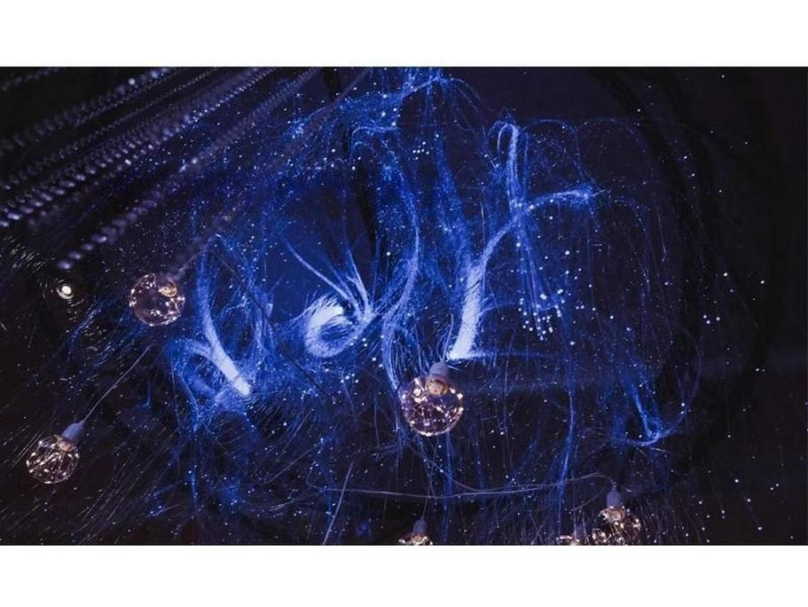 Avatar Fiber Optic Outdoor Lights, Wedding Tree Waterfall Shape, Starlight Colored Waterproof.