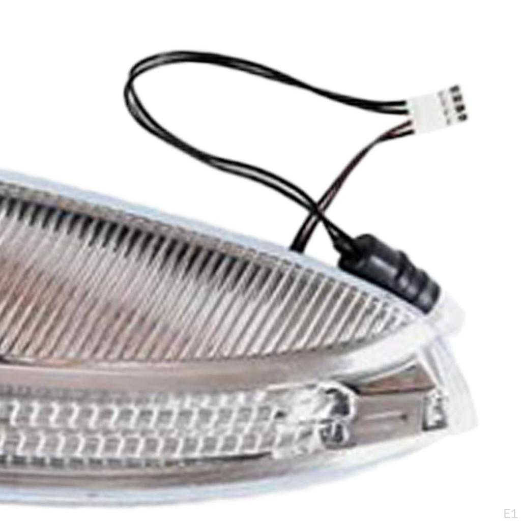 Right Side Door Mirror Turn Signal Light Replacing 1649061400, A1648201021 Rearview