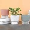 Self-Watering Flowerpot Plant Pot with Visual Reservoir Drainage Hole Self Watering Planter with Absorbent