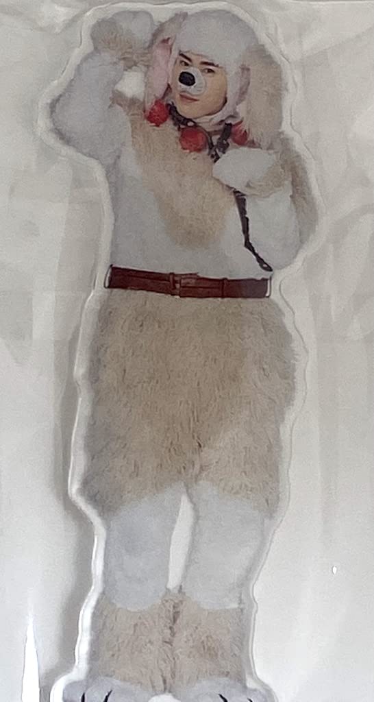 Snow Man Takizawa Kabuki Stand Miyadate ZERO 2022 Official Goods [Acrylic (Ryota Datetama)]