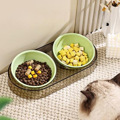 Cat Feeding and Watering Double Bowls with Inclined Mouth To Protect Neck  Kitten Rice Bowl To Prevent Overturning Dog Feeding Bowl