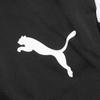 Puma Team Liga Training 3 4 Pants