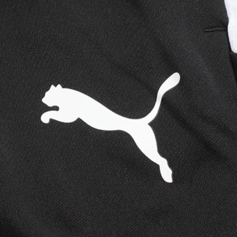 Puma Team Liga Training 3 4 Pants