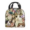 Meowl Cat Owl Meme Thermal Insulated Lunch Bags for School Portable Food Bag Cooler Thermal Lunch Box