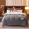 Students Fall And Winter Thickened Wool Futon Space Comforter Duvet Skin-Friendly Cotton Fabric Warm Quilt Vacuum Futon Warm