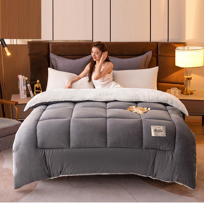 Students Fall And Winter Thickened Wool Futon Space Comforter Duvet Skin-Friendly Cotton Fabric Warm Quilt Vacuum Futon Warm