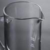 Coffee Borosilicate 16 Ounce Kettle for Tea Save Time Heieise kitchen and office