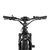 FREEDARE Saiga Electric Mountain Bike 250W BaFang Motor,48V20Ah Battery,with GPS Smart App Control