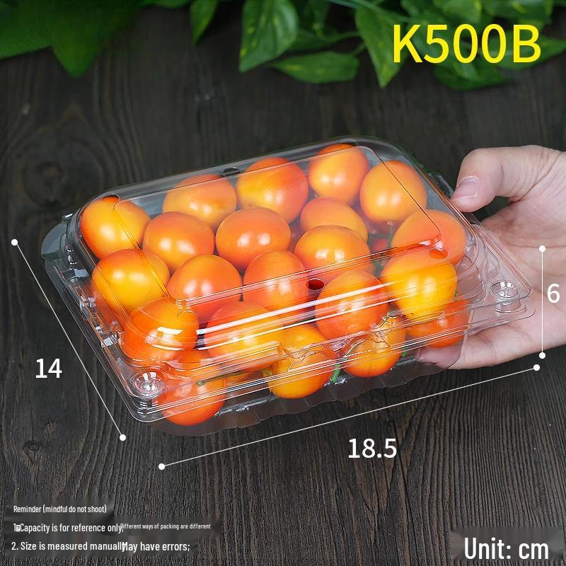 Handon Disposable Round Fruit Container (K500B)
