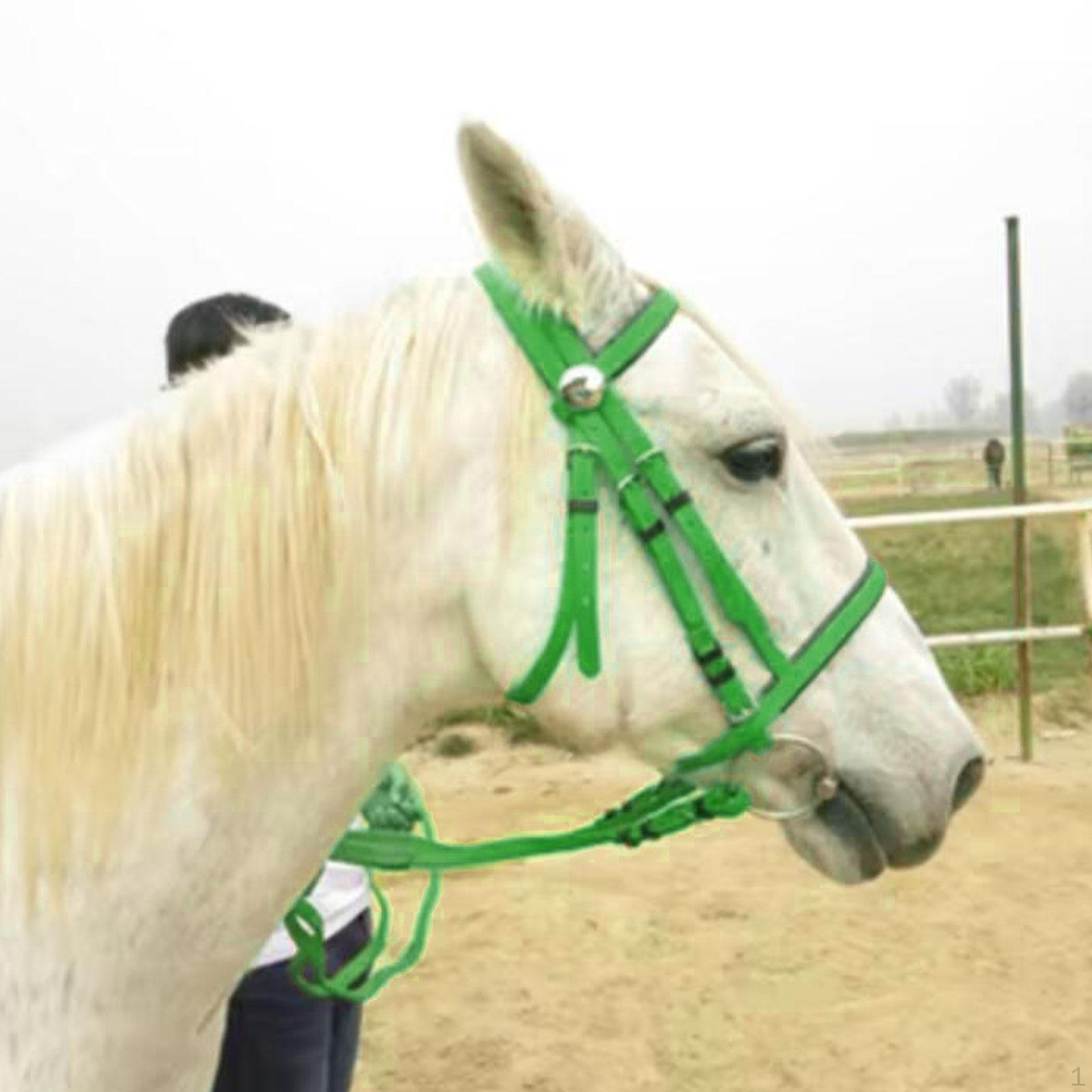 

Конская уздечка с поводом, недоуздок, регулируемая конная экипировка, назатылочный ремень, повод для клуба 135mm