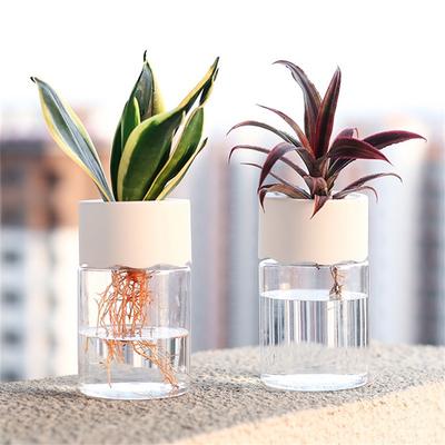 Mini Hydrokultur Blumentopf Home Vase Dekor Transparent Imitation Glas Bodenlose Blumentöpfe Grünpflanzen Topf Für Heimtextilien