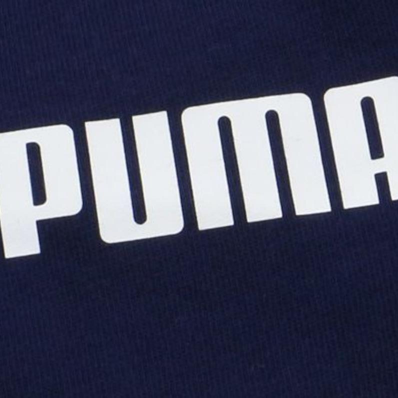 Puma Letter Print Casual Shorts Men Shorts Blue 855281-03