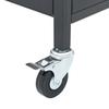 4 Burner Gas Grill in Black Powder Coated Steel