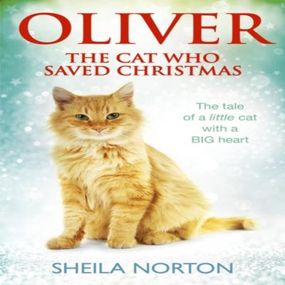 Oliver The Cat Who Saved Christmas by Sheila Norton Paperback Book 9781785033551
