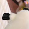 Soft Animal Stuffed Dolls 30/35/45cm Platypus Plush Doll Simulation Platypus Plush Toys
