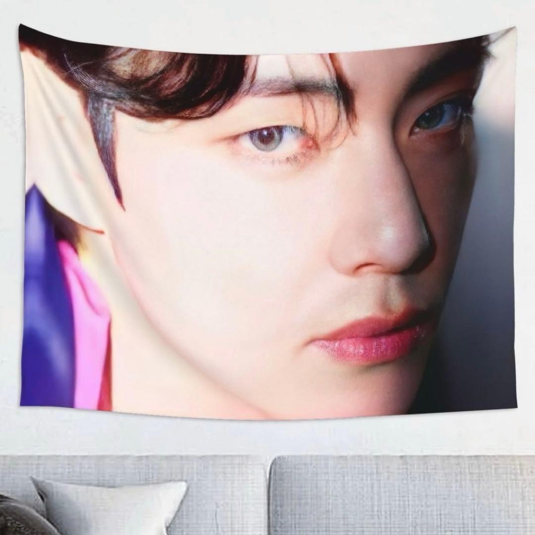 

[USED] BTS Tapestry Proof Taehyung V V