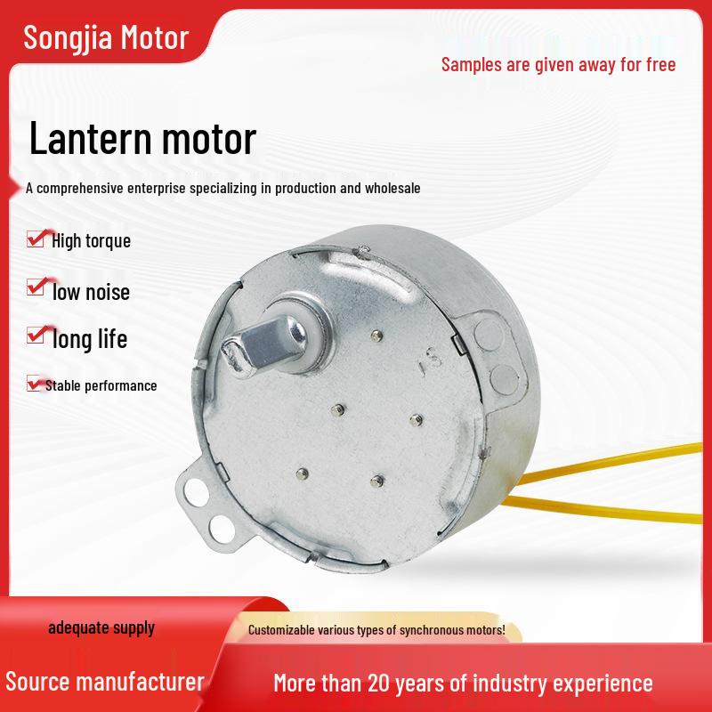 

Lantern-Specific Permanent Magnet Synchronous Motor: Ensures Smooth Operation