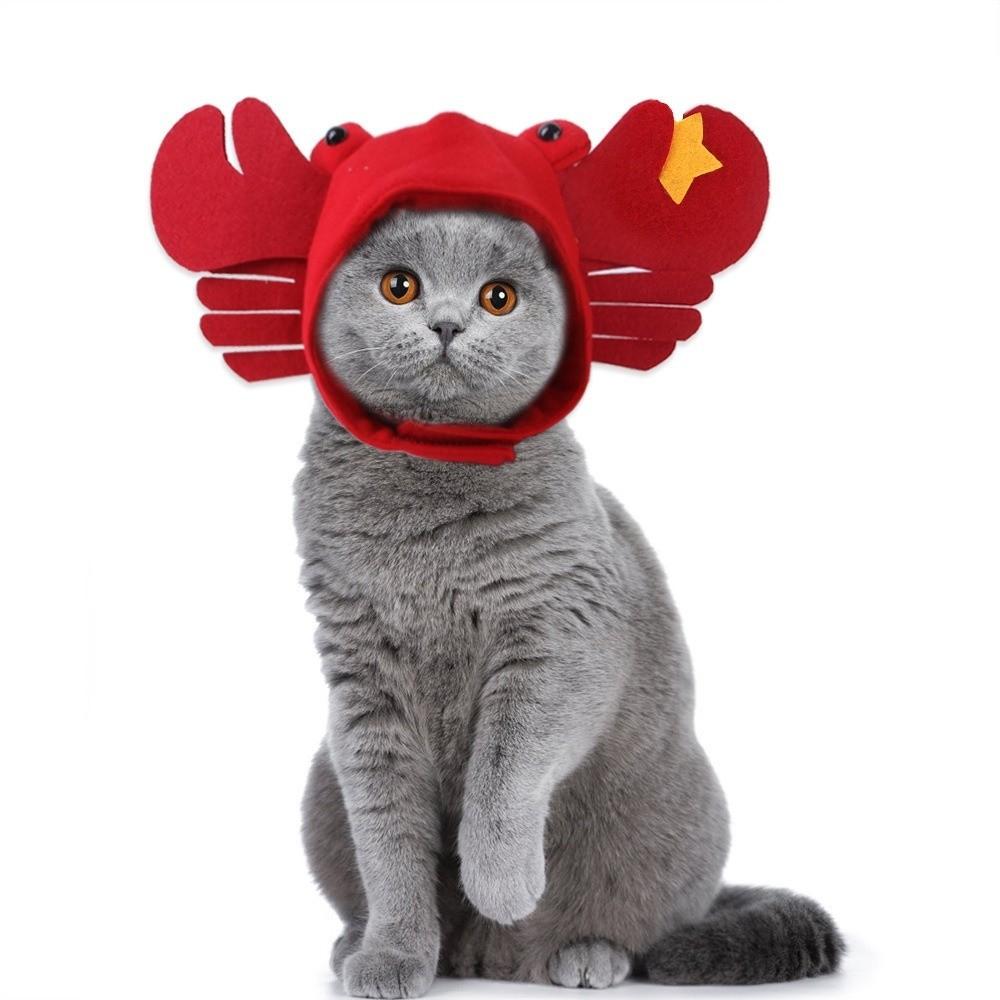 Cute Pet Hat Soft Cat Hat Dog Cat Headgear Pet Headgear Photo Taking