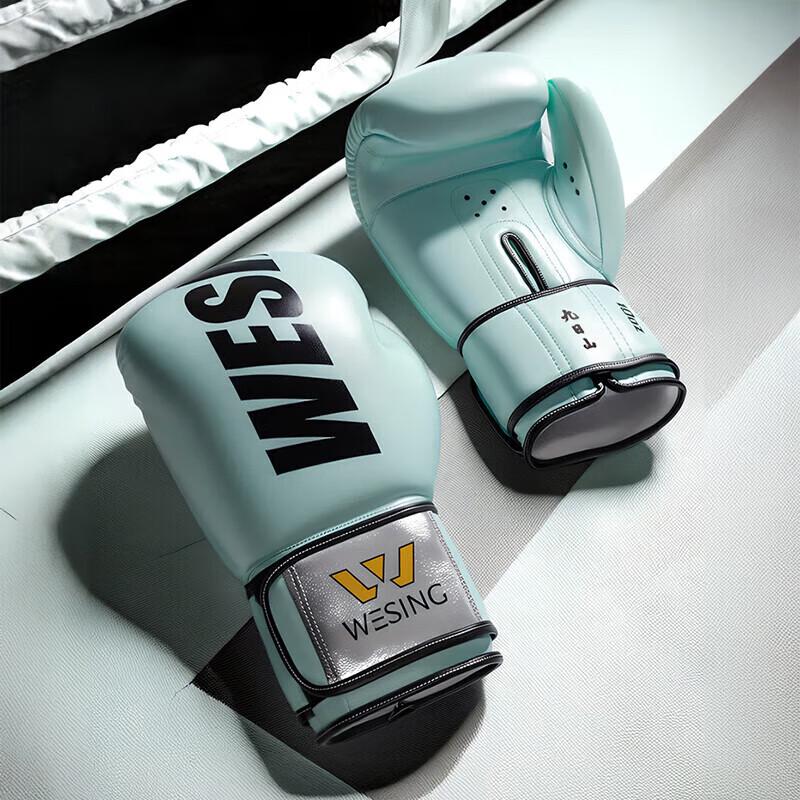 Jiuri Mountain Boxing Gloves