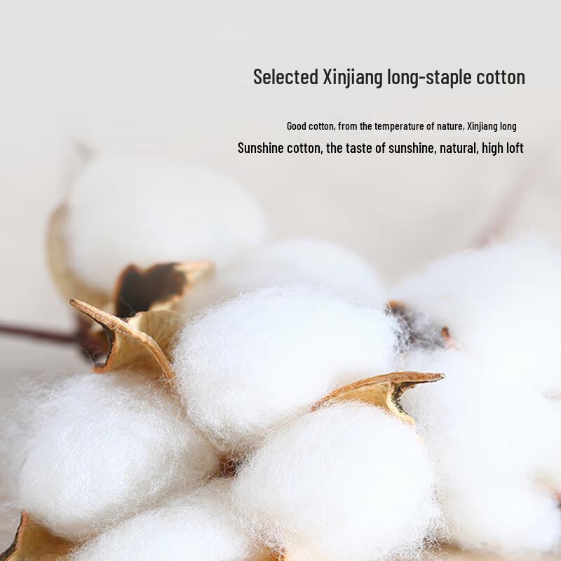 Hengyuanxiang A-Class Antibacterial 100% Xinjiang Cotton Quilt