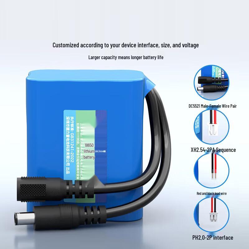 Delipow 18650 Rechargeable Lithium Battery Pack CN plug (adapter included)