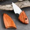 Stainless Steel Kitchen Knife Chef Knives Fruit Paring Knife Meat Fruit Knife Cooking Cutter