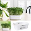 Plastic Bean Sprout Nursery Easy Observation Sprouting Basket for Kitchen or Balcony Gardens  Germination Supplies
