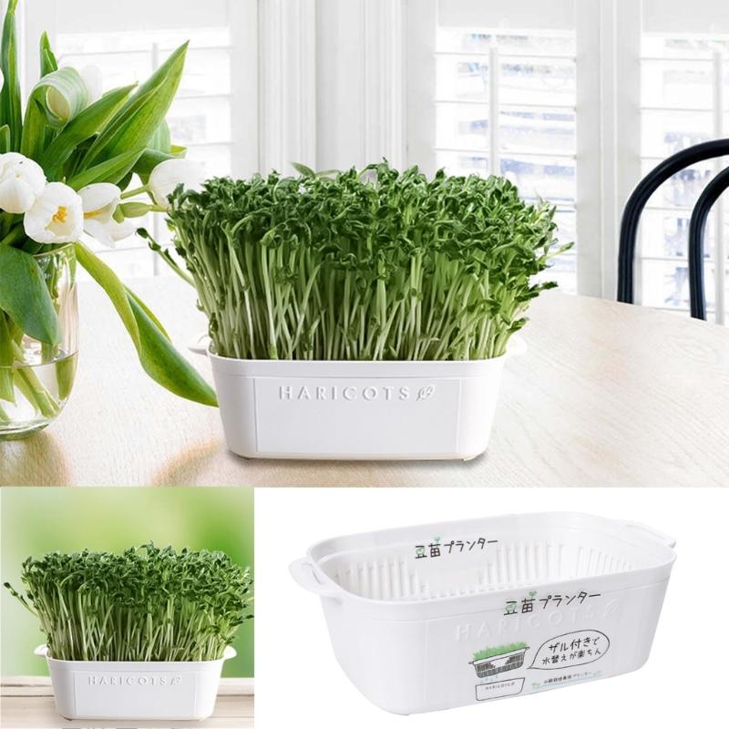 Plastic Bean Sprout Nursery Easy Observation Sprouting Basket for Kitchen or Balcony Gardens Germination Supplies