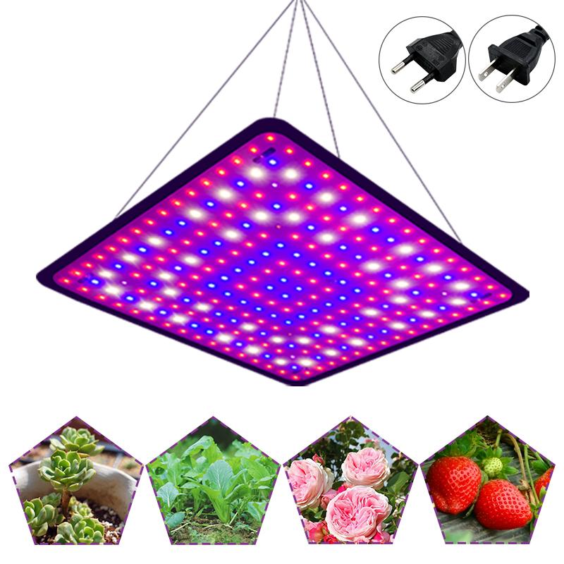 Lampe de croissance LED à spectre complet 1000 W AC110 V 220 V Phyto Lampe avec interrupteur marche/arrêt pour éclairage de croissance de plantes hydroponiques en serre