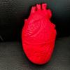 Scary Simulated Heart for Halloween Party and Horror Props Realistic Body Decoration Frightening Body Part Ornament
