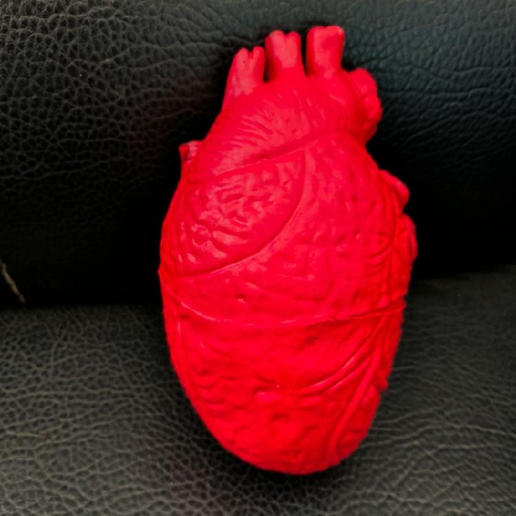 Scary Simulated Heart for Halloween Party and Horror Props Realistic Body Decoration Frightening Body Part Ornament