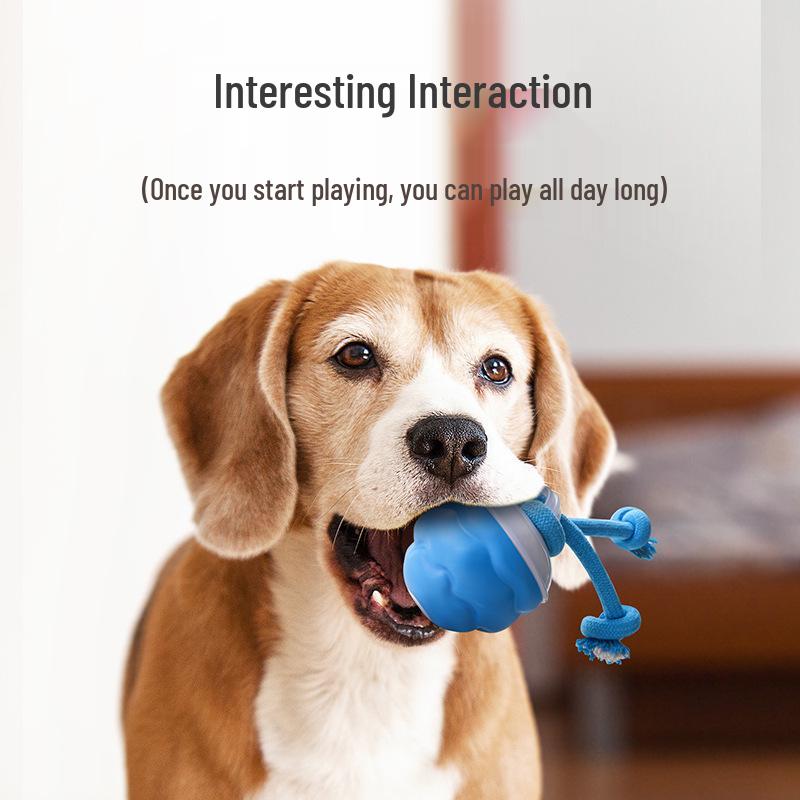 Rechargeable Smart Rolling Dog Toy: Automatic Sounding Teasing Ball for Boredom Relief