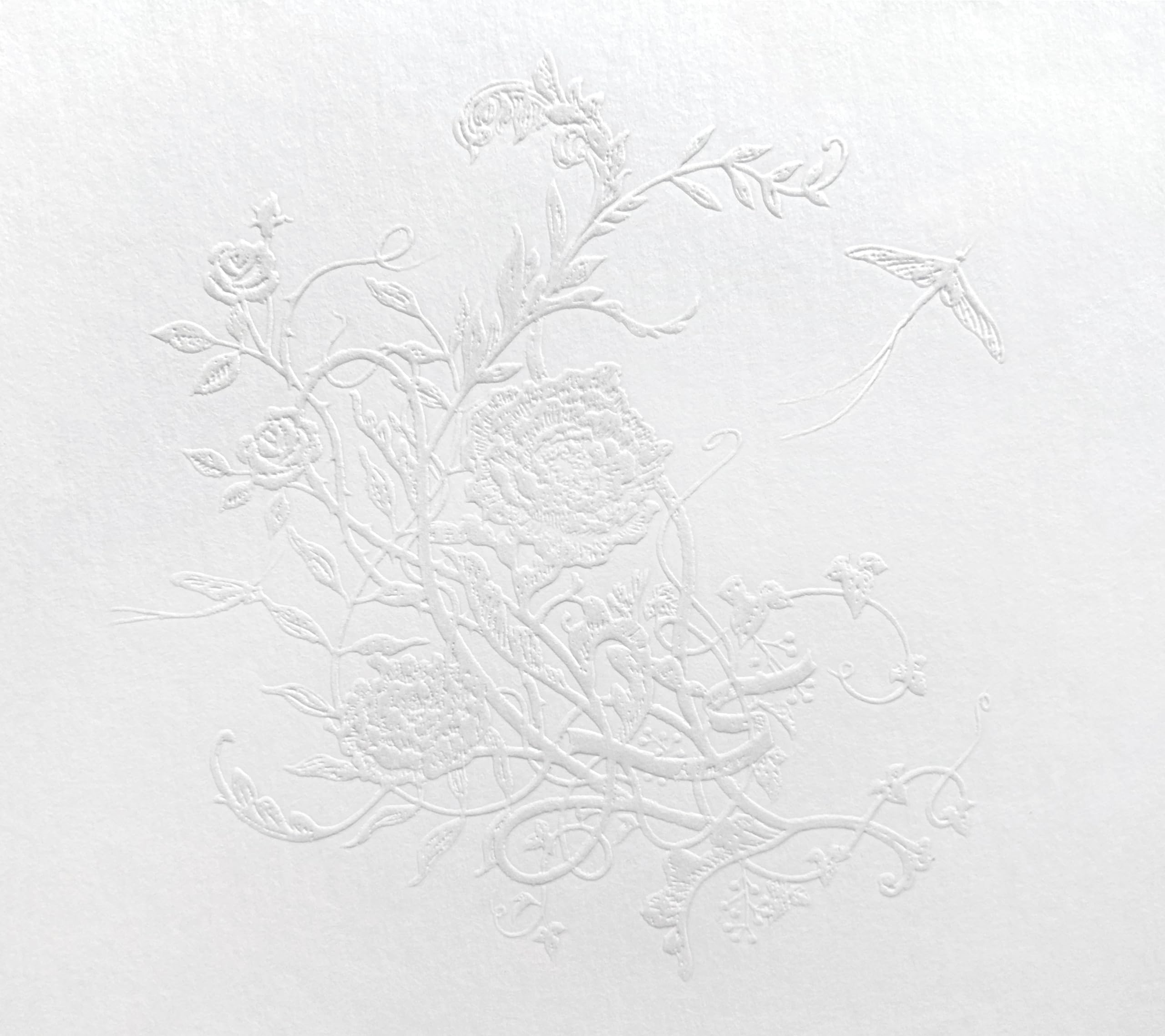 

Shiroiro Kagero production limited Aimer (first edition) -