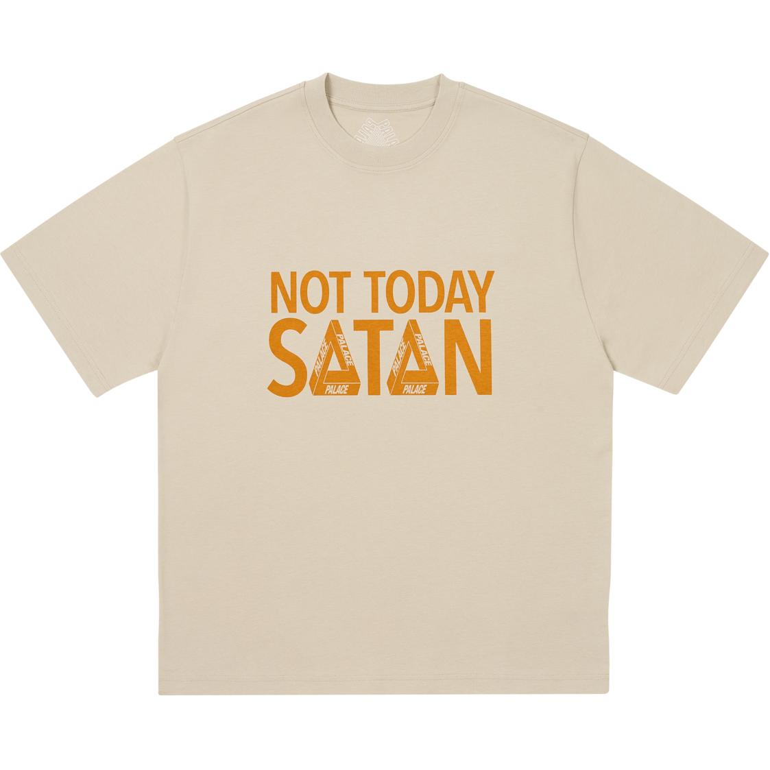 

Palace Футболка Nicht Today Серая Меланж Унисекс Топы P27TS284 L