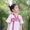 Little Tiger Patty Girls' Summer Embroidered Chiffon Hanfu Dress