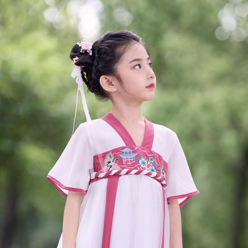Little Tiger Patty Girls' Summer Embroidered Chiffon Hanfu Dress