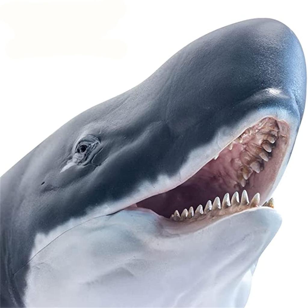 PNSO Growth Series 56 Leviathan Melvillei Libyatan Sperm Whale Family Leviathan Marine Animal Realistic Figure PVC Toy Model Dinosaur Lover Birthday