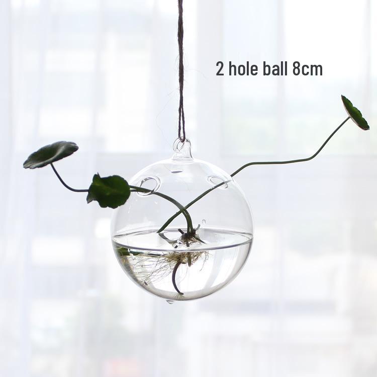 

Большая креативная подвесная стеклянная ваза для гидропонного потоса и домашних цветов