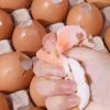 1Pc Simulated Silicone Egg Pinching One-time Pinching Egg Slow Rebound Egg Pinching Music Creative Decompression Artifact Toy