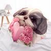 Heart and Shih Tzu pattern, automatic folding umbrella, portable and foldable design, 8 ribs, a Christmas or birthday gift.