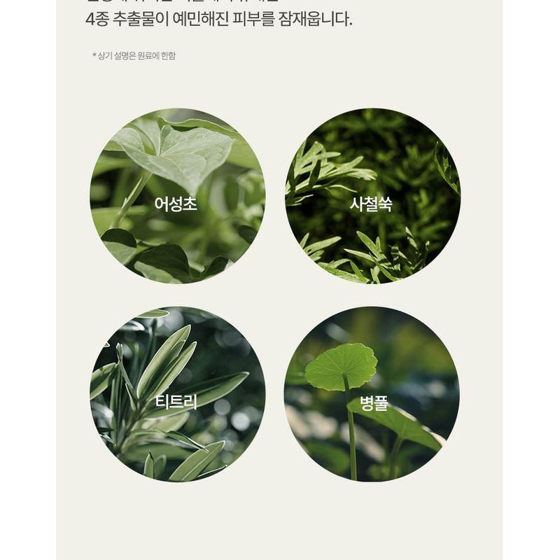 Anua - Airy Sun Cream