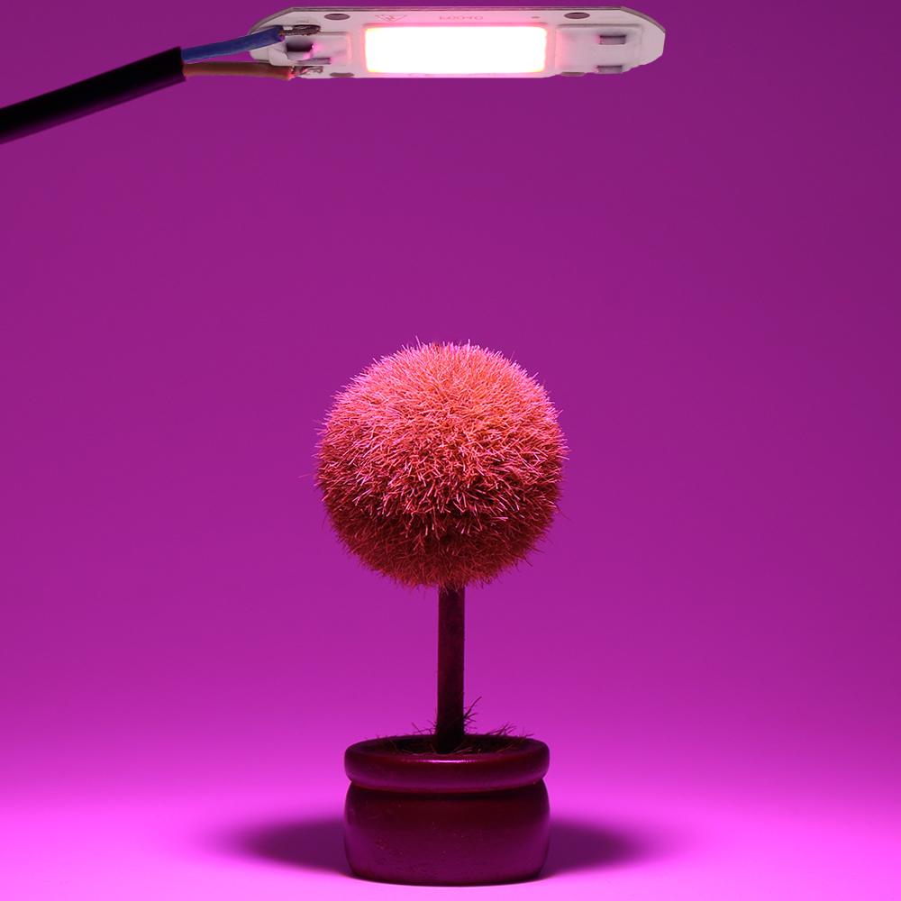 50W 30W 20W 10W LED Lights COB LED Lamps CHIP AC 110V Hight Brightness Lighting COB Lights Chip For DIY Smart IC Flood Light