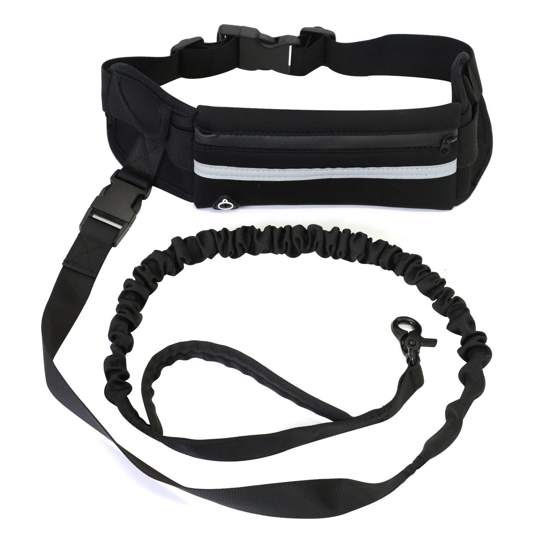 

3-in-1 Pet Travel Leash: Convenient Dog Walking Tool with Built-in Water Bottle