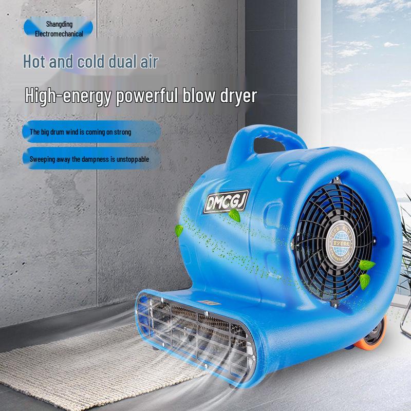 Maolang High-Power Commercial Hair Dryer & Floor Dehumidifier