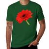 Red Gerbera Daisy T-Shirt Kawaii Clothes Heavyweights Cute Tops Mens Clothing