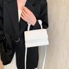 Spring 2024 Trendy Pu Leather Small Bag For Girls Fashionable Shoulder And Tote Bag