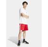 Спортивные шорты adidas adicolor Firebird