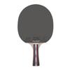 Dubbel Fisk Bordtennisracket Set med Bollar