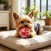 Non-Toxic Dog Balls for Boredom Geometric Ball Toy, Indestructible Chew Multi-faceted Teeth Durable Toys Destructive Chewers Cleaning Interactive