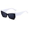 JYL TS Sunglasses Gel Color Style 2839/CH3953